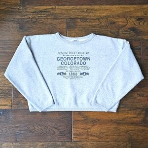 Vintage Colorado Heather Gray Crop Sweatshirt S